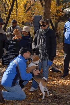 Dog Run at St. Nicholas Park photo 2